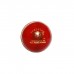 CA Test Star Cricket Ball